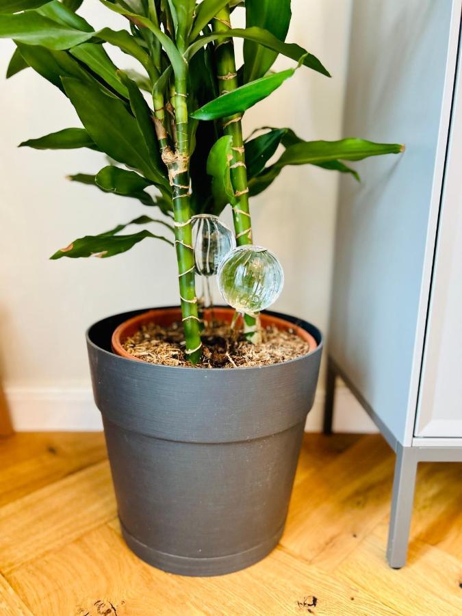 Ultracentral Lux Boutique 1Br Ap Near Subway Bukarest Eksteriør billede